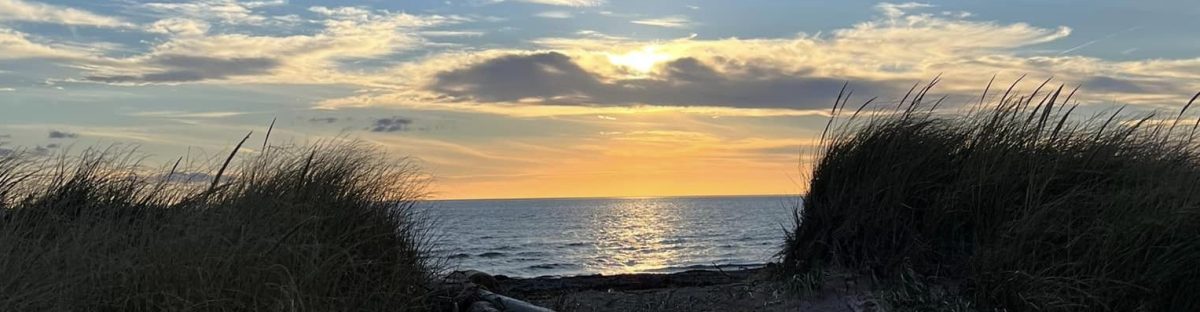 Life: Before and After Stroke.